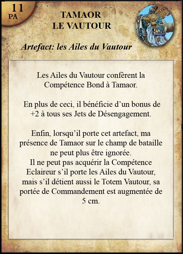 Ailes Vautour